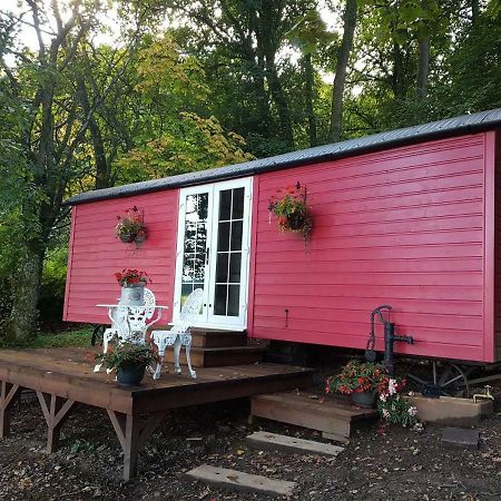 Borthwickbrae Shepherd'S Hut Hawick Kültér fotó